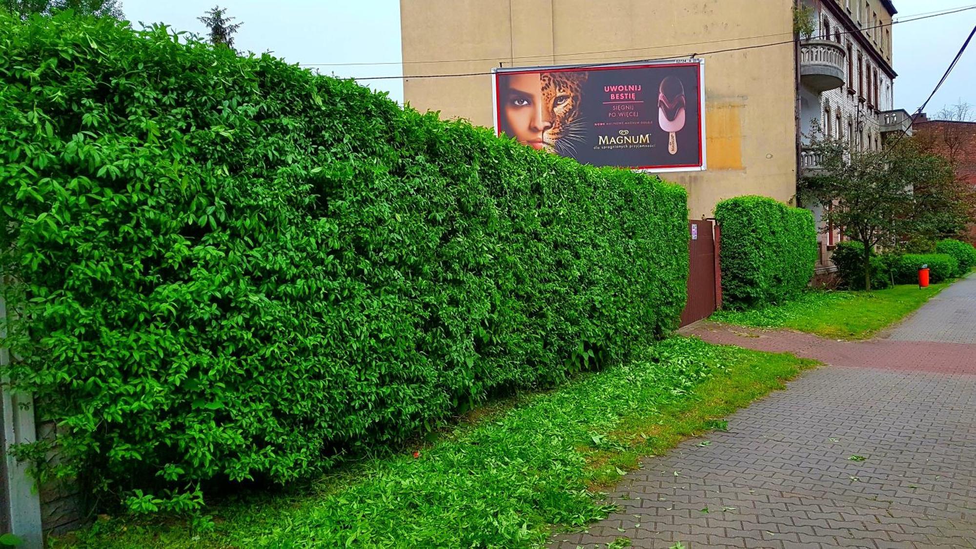 Apartament Park Slaski Kattowitz Exterior foto